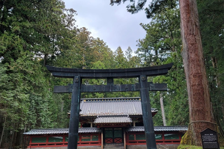 Nikko Private Day Tour with English Speaking Expert Driver