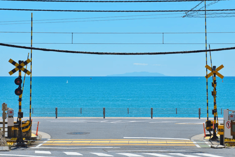 Tokyo Yokohama Night View Tour With Kamakura And Enoshima