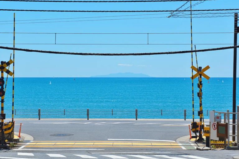 Tokyo Yokohama Night View Tour With Kamakura And Enoshima