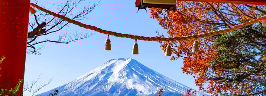 Excursion au mont Fuji et à Hakone avec chauffeur privé et transport