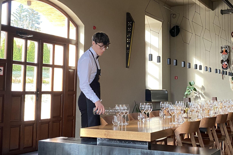 From Iași: Chișinău & Castel Mimi Tour with Wine Tasting