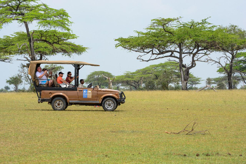 Vanuit Zanzibar: Selous G.R. safari met overnachting en vluchtengedeelde safari