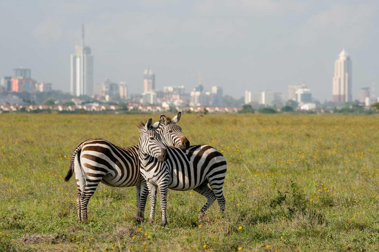 Nairobi National Park: Sunrise or Sunset Game Drive Tour