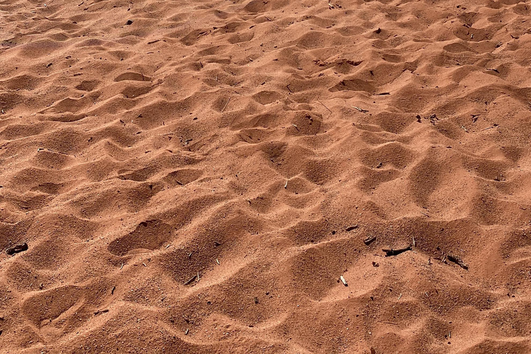 Wadi Rum: pustynna przygoda samochodem terenowym z lunchem i herbatąCałodniowa wycieczka jeepem z obiadem – 9 godzin