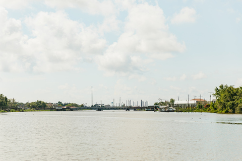 Nova Orleans: Passeio de barco pelo pântano e Bayou com transporte