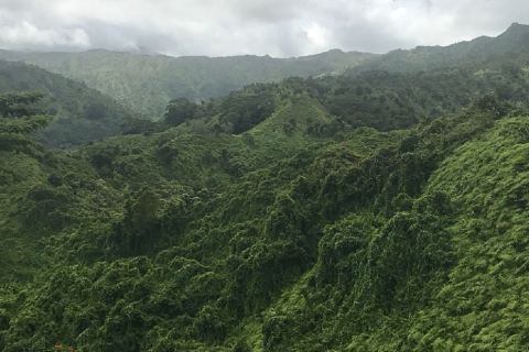 Kauai: jungla privada y caminata de eucalipto arcoíris