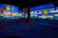 Dortmund, Phoenix des Lumières Entry Ticket - Housity