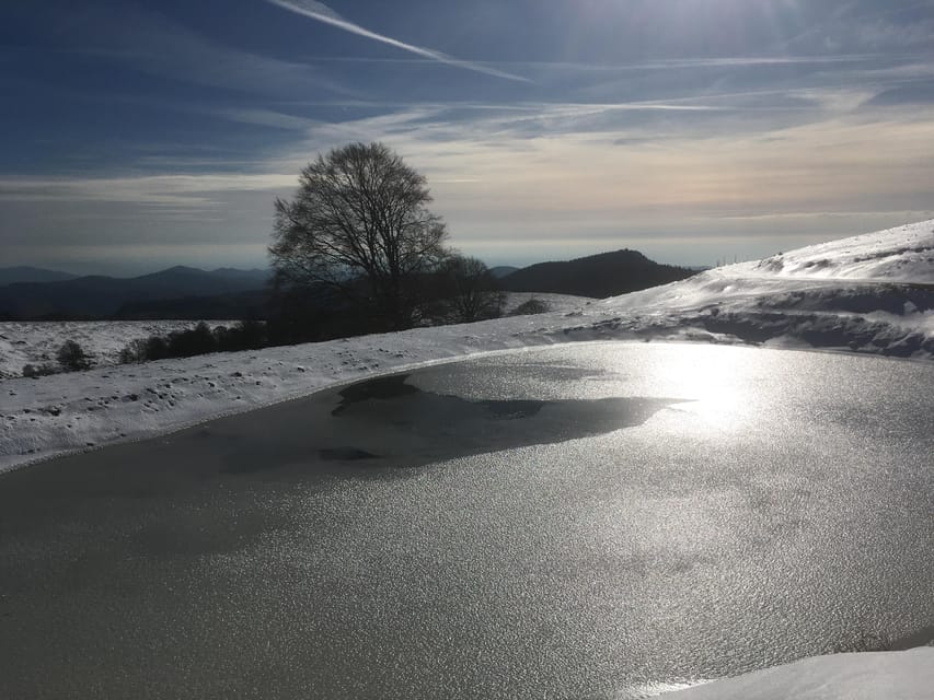 On the ridges! Loop on the Belluno Pre-Alps. | GetYourGuide