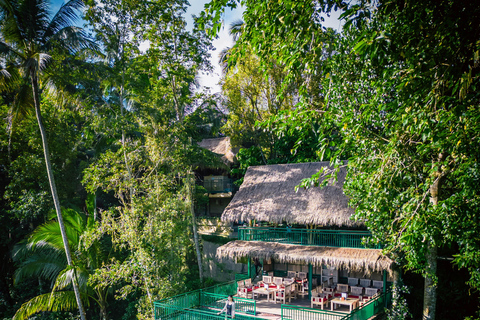 Ubud: Alas Harum Day-Pass with Swing, Sky Bike &amp; Flying FoxEntrance + 1 Swing + 1 Flying Fox/Skybike