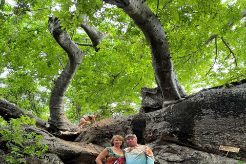 ZANZIBAR : Safari Blue Honeymoon tourExcursion sans prise en charge et retour à l'hôtel