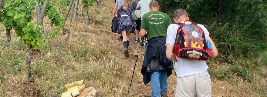 Randonnée & Vin entre Côte-Rôtie et Condrieu