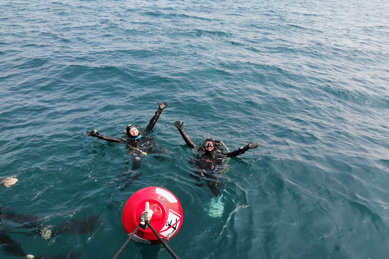 Argelès-sur-Mer: första dyket i den marina naturparken