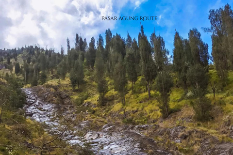 Bali Mount Agung Sunrise or Daytime Trek 3,142m Peak Mount Agung 2.900 MASL via Pasar Agung Temple (9Hrs)