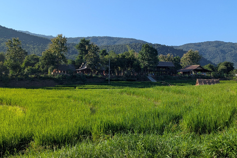 Kuang Si Waterfall & Rice Farm Tour with Sunset Cruise