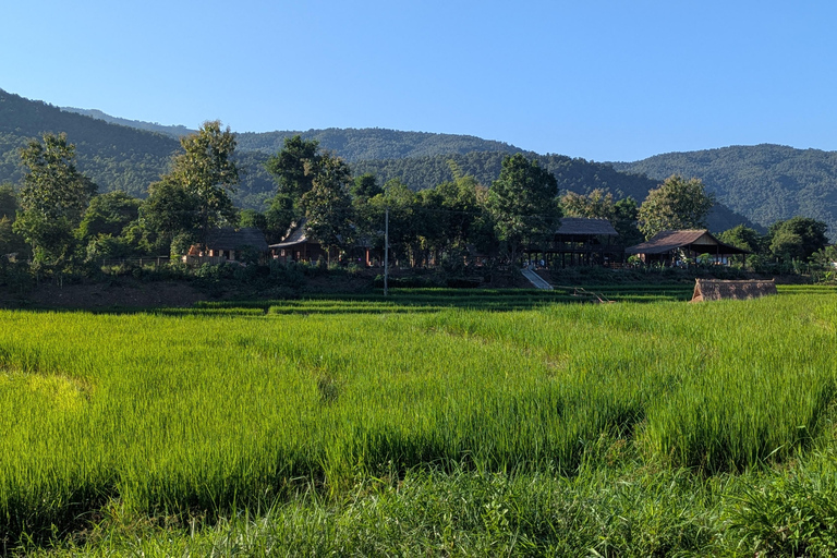 Kuang Si Waterfall & Rice Farm Tour with Sunset Cruise