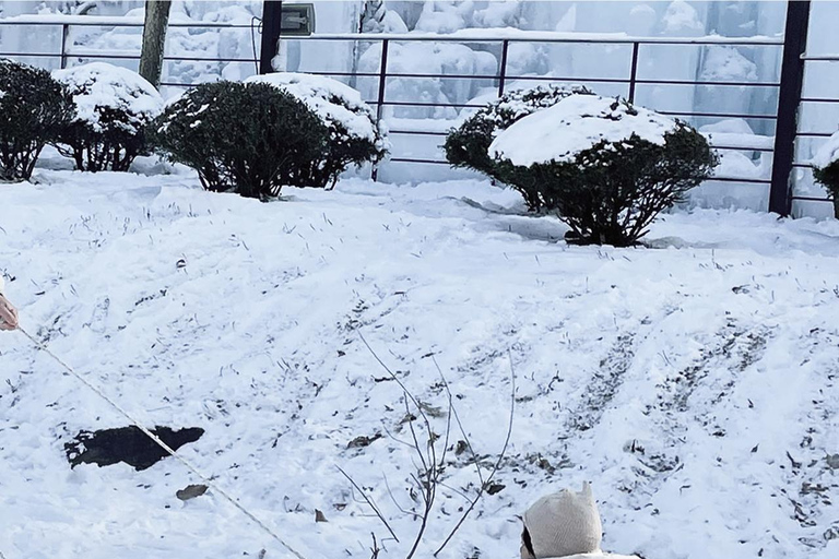 Gamaksan & IceWall Cafe & Eunpyeong HanokVillage & Jingwansa Depart from Hongik Univ. Station Exit 3
