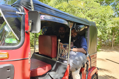 Von Kandy aus: Sigiriya und Dambulla Tagestour