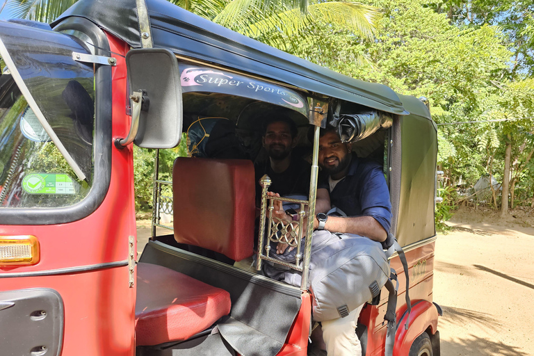 Von Kandy aus: Sigiriya und Dambulla Tagestour