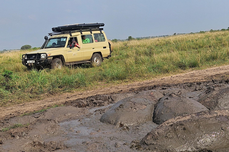 Kasese: 3 Day Queen Elizabeth Classic Safari & Boat Safari