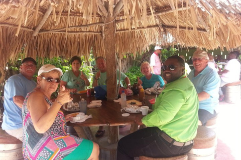 Montego Bay: Hop-On Hop-Off Bus Tour with Cruise