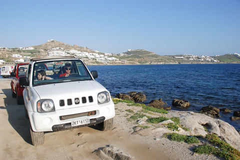 Mykonos: Całodniowe safari w terenie