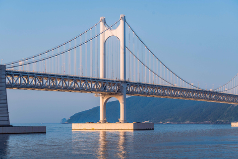 Busan Small Group Cruise Shore Excursion with Sky Capsule Private Cruise Shore Excursion (No Sky Capsule)