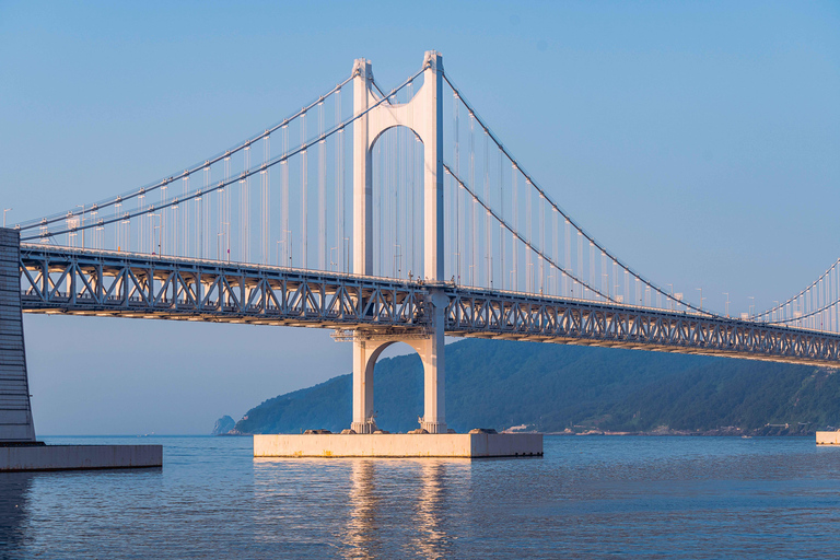 Busan Small Group Cruise Shore Excursion with Sky Capsule Private Cruise Shore Excursion (No Sky Capsule)
