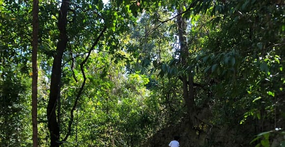 Chiang Mai Monk&#39;s Trail Wat Pha Lat & Visit Wat Doi Suthep