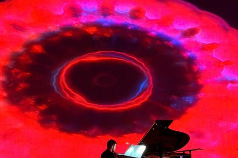 ✨Immersive Light and Music Show in Alicante I Under The Tree