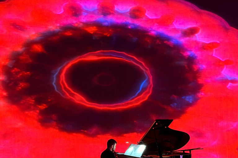 ✨Immersive Light and Music Show in Alicante I Under The Tree