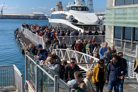Robben Island Tour & Table Mountain guided Tour