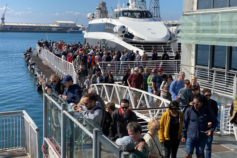 Robben Island Tour & Table Mountain guided Tour