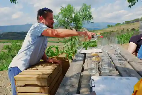Fra Barcelona: Priorats eksklusive kældre, vine og natur