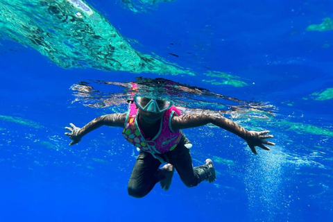 瓦努阿图：海龟与浮潜之旅（含午餐）瓦努阿图：海龟与浮潜之旅，含午餐