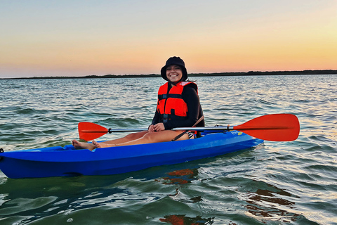 Explorando Cancún: Excursión guiada en kayak por los ManglaresExcursión al atardecer: Excursión guiada en kayak por los Manglares