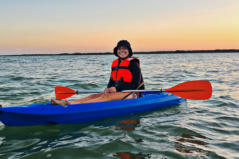 Explorando Cancún: Excursión guiada en kayak por los ManglaresExcursión al atardecer: Excursión guiada en kayak por los Manglares