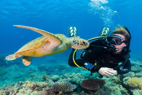 Side: Underwater Museum Scuba Diving Tour with Expert Diving Museum Scuba Diving Tour with Hotel Transfer