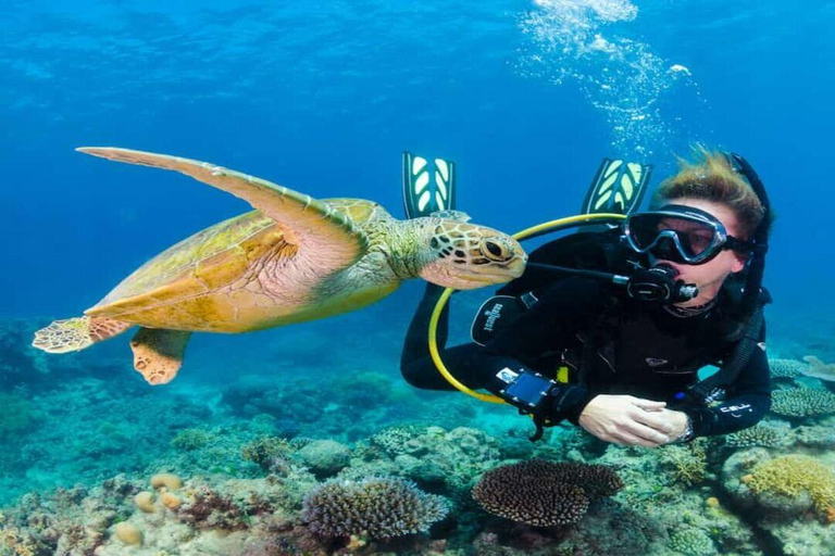 Side: Underwater Museum Scuba Diving Tour with Expert Diving Museum Scuba Diving Tour with Hotel Transfer