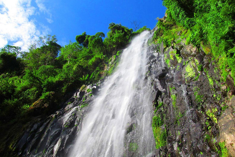 Excursion d'une journée aux chutes d'eau, au café et aux sources d'eau chaude de Materuni