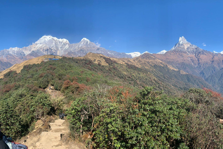 Från Pokhara: 4-dagars Mardi Himal Base Camp Trek