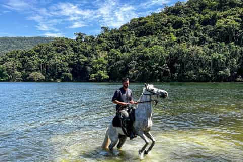 2026年サンタ カタリーナ州人気のガイドツアー体験 | ゲットユアガイド