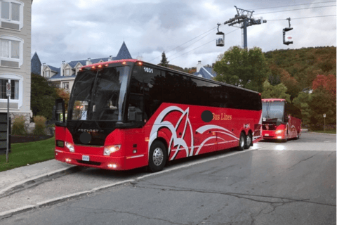 Toronto och Niagarafallen: Stadsvandring och naturupplevelser på en dag