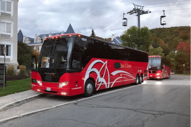 Toronto e Niagara Falls: Excursão de 1 dia pela cidade e pela natureza