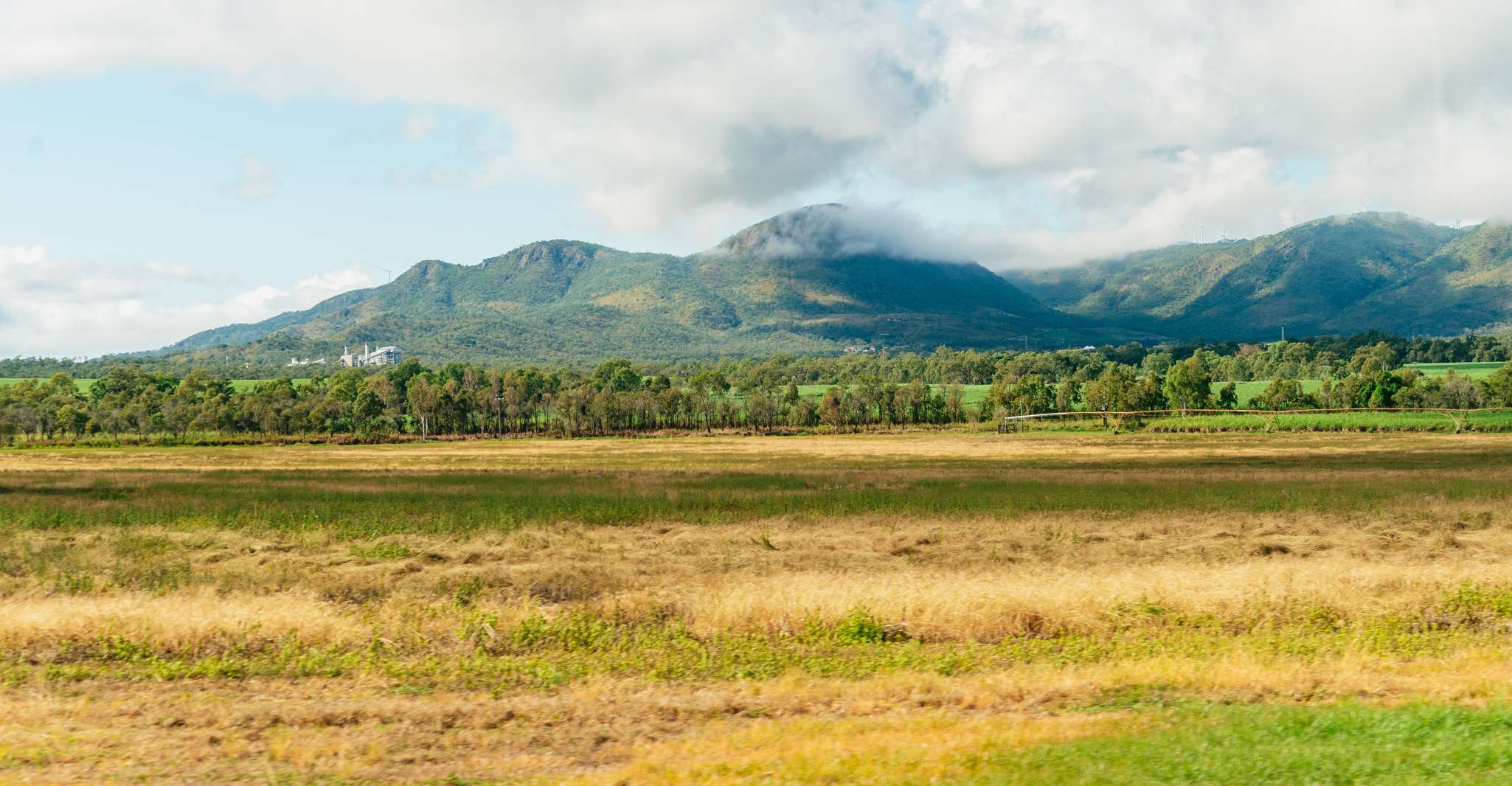 Excursión de día completo a las cuevas de Chillagoe y el Outback de Cairns - Hizvo
