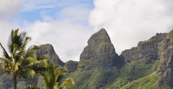 From Oahu: Kauai Highlights & Movie Sites