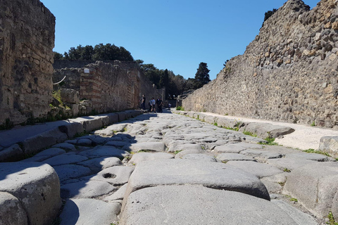 From Rome: Day Trip to Pompei