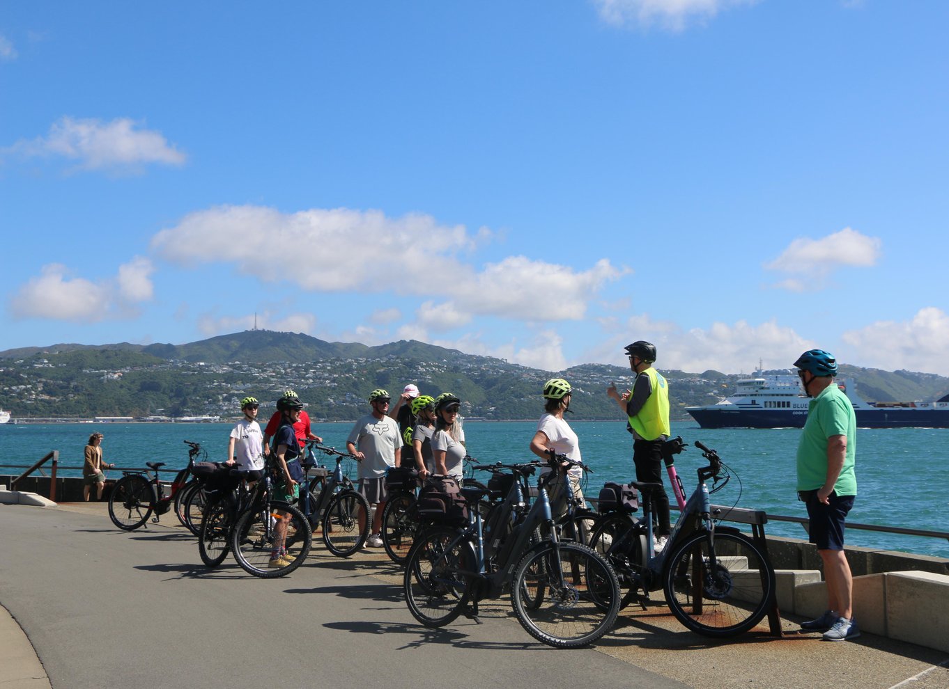 Wellington: Easy Rider guidet tur på eBike
