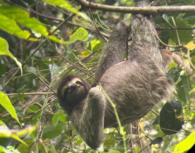 Manuel Antonio National Park, Puntarenas Province Book Tickets