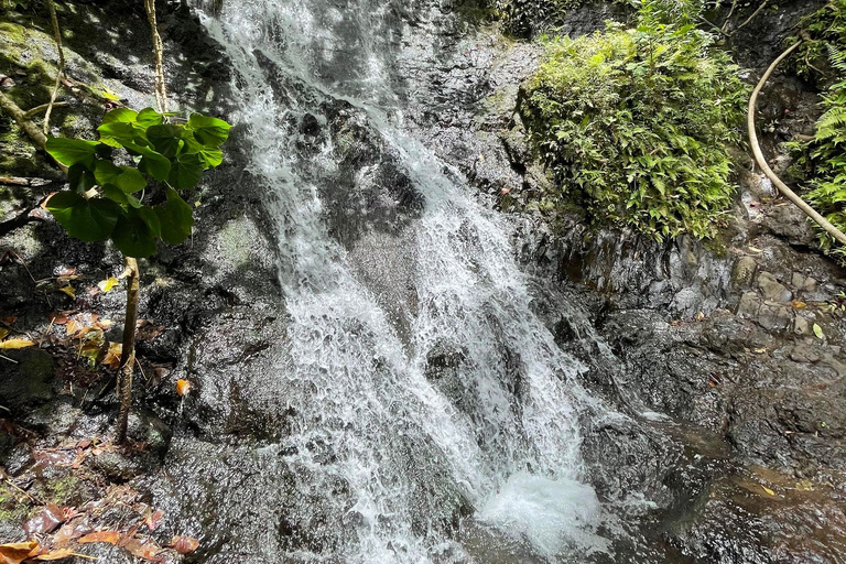 Waikiki: Verborgen Hawaii Waterval Wandeling en Strand Tour