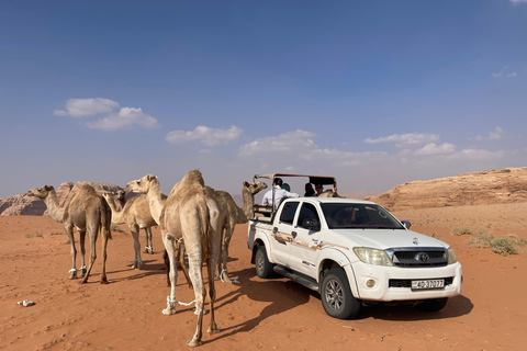 WADI RUM:FULL-DAY DESERT TOUR WITH LOCAL GUIDE, SUNSET & TEA
